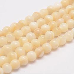 Chapelets de perles en coquillage naturel, ronde, blé, 6mm, Trou: 1mm, Environ 63 pcs/chapelet, 15.5 pouce