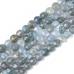 Natürliche Apatit Perlen Stränge, facettiert, Flachrund, 4x2.5 mm, Bohrung: 0.6 mm, ca. 102 Stk. / Strang, 15.35 Zoll (39 cm)