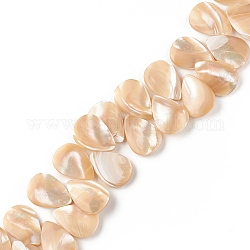 Perle trochid naturali / conchiglie trochus, perline forate, lacrima, 18.5x13x3mm, Foro: 0.8 mm