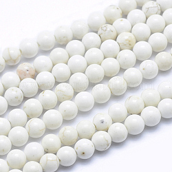 Brins de perles de magnésite naturelle, ronde, 4~4.5mm, Trou: 0.5mm, Environ 98 pcs/chapelet, environ 15 pouce