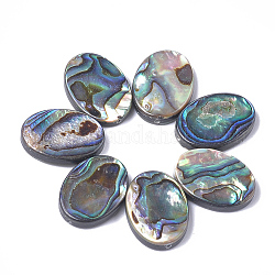 Perles de coquille d'ormeau naturel/coquille de paua, ovale, 18x13x3.5mm, Trou: 1mm