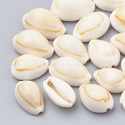 Perles de coquillage cauri naturelles, couleur de coquillage, 18~23x11~15x8~12mm