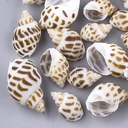 Perle di conchiglia a spirale, perline non forate / Senza Buco, cammello, 22~40x15~22x12~20mm