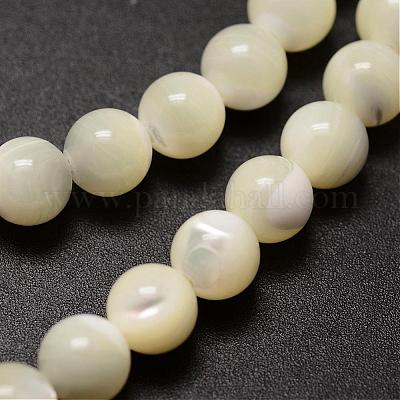 Wholesale Natural Sea Shell Beads Strands 