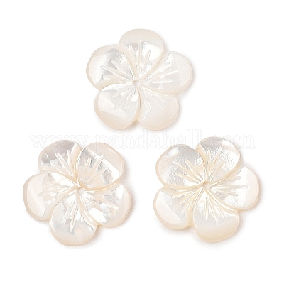 Резные бусины из натуральной белой ракушки SSHEL-I026-12F-07-1