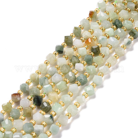 Brins de perles de jade myanmar naturel G-P463-19-1