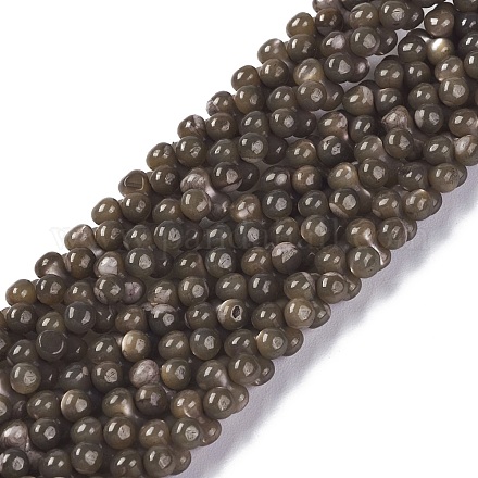 Fili di perle di conchiglia trochid naturale / trochus SSHEL-K027-01-1