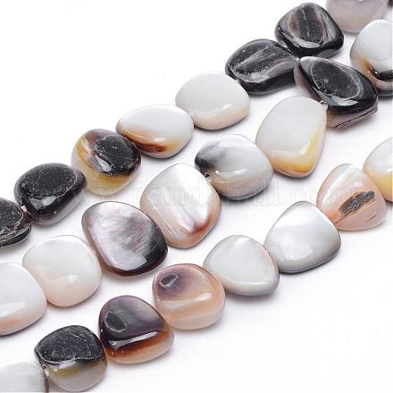 Marinas naturales hebras de perlas shell SSHEL-S251-02-1