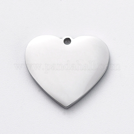 304 charms di tag in bianco in acciaio inossidabile STAS-G215-12-P01-1