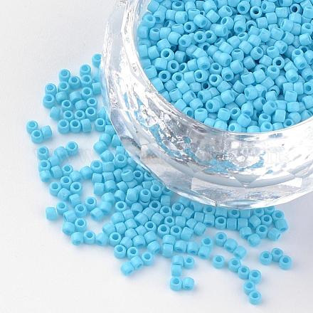 Baking Paint Cylinder Seed Beads SEED-R041-09-1