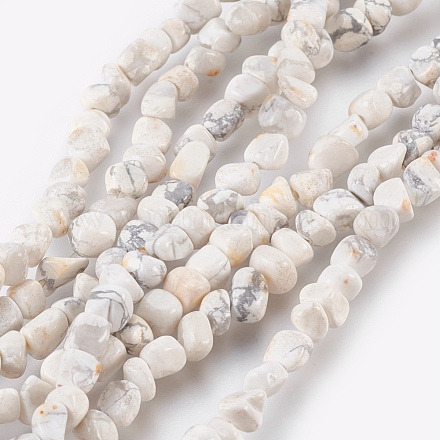 Natural Howlite Chips Beads Strands G365-34-1