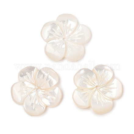 Резные бусины из натуральной белой ракушки SSHEL-I026-12F-07-1