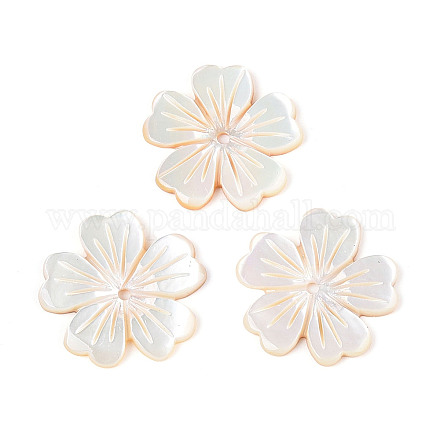 Резные подвески из натуральных желтых ракушек BSHE-T014-13-1