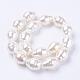 Shell Pearl Beads Strands BSHE-L035-A02-2
