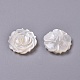 Natural White Shell Mother of Pearl Shell Cabochons SSHEL-L013-10-2