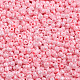 Perles de rocaille en verre SEED-A010-3mm-55-2