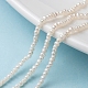 Natural Cultured Freshwater Pearl Beads Strands PEAR-G007-42-01-6