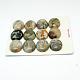 Jaspe policromado natural/piedra picasso/cabujones de jaspe picasso G-N210-26-1
