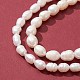 2 Strands 2 Style Natural Cultured Freshwater Pearl Beads Strands PEAR-FS0001-02-2