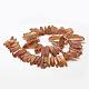 Electroplated Natural Quartz Crystal Beads Strands G-A142-03P-2