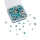 Perles en chips d'amazonite naturelle G-CJ0001-21-1