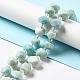 Natural Amazonite Beads Strands G-B027-A02-2