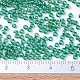 MIYUKI Round Rocailles Beads SEED-X0054-RR0354-4