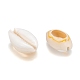 Perles de coquillage cauri naturelles X-SHEL-S274-54-3