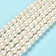 Natural Cultured Freshwater Pearl Beads Strands PEAR-E016-171-2