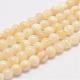 Chapelets de perles en coquillage naturel G-K153-B47-6mm-1