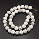 Frosted Round Howlite Beads Strands G-N0166-72-6mm-3