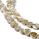 Brins de perles de coquille d'eau douce naturelles de style drawbench SHEL-F003-03-4