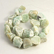 Natural Amazonite Beads Strands G-D318-5-2