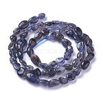 Perles naturelles Iolite brins, pierre roulée, pépites, 4~9x4~8mm, Trou: 1mm, Environ 58~60 pcs/chapelet, 15.7 pouce ~ 16.1 pouces (40~41 cm)