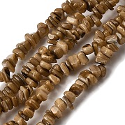 Бусины из натуральных пресноводных ракушек SHEL-B003-01D