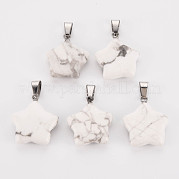 Звезда подвески натуральный Howlite G-Q367-18