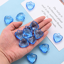 Прозрачные акриловые подвески&nbsp;TACR-T024-03B-940