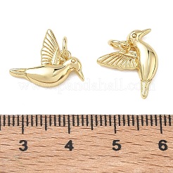 Messing Anhänger & Charms&nbsp;KK-D289-34A-G