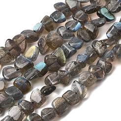 Природные лабрадорита бисер нитей G-A279-A01-01