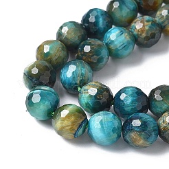 Природных тигровый глаз бисер нитей&nbsp;G-M445-A01-01