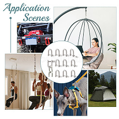 Застежки-скобы с D-образным кольцом из нержавеющей стали 304 STAS-WH0033-56B