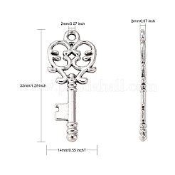 Tibetischer stil Aluminium Anhänger & Charms&nbsp;LF11137Y-NF