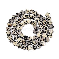 Природные яшмы далматин бисер нитей G-N257-24A-04