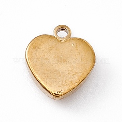 Подвески из нержавеющей стали 304&nbsp;STAS-P310-24G-03