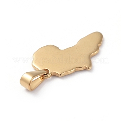 Anhänger aus Edelstahl 304&nbsp;STAS-I127-025G