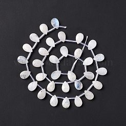 Бусины из натурального радужного лунного камня G-G805-B16