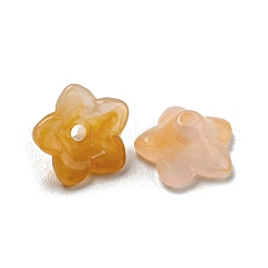 Cabochons en acrylique opaque bicolore&nbsp;OACR-G034-07C