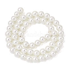 Круглые бусины из экологически чистого окрашенного стекла с жемчугом&nbsp;HY-A008-8mm-RB001