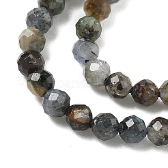 Натуральный кианитовые бисер пряди&nbsp;G-Z104-B01-4mm-B-01