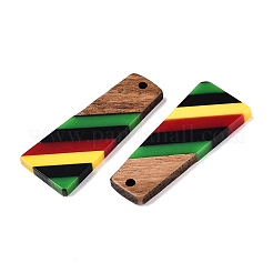 Подвески из ямайской цветной эпоксидной смолы и орехового дерева RESI-N039-122M